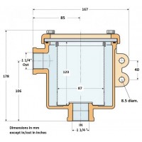 Guidi Raw Water Strainer - Nickel Plated Bronze #1164/114